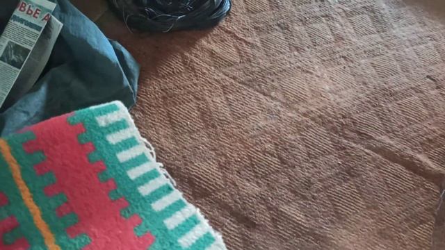Помидоры в валенках. смотреть онлайн