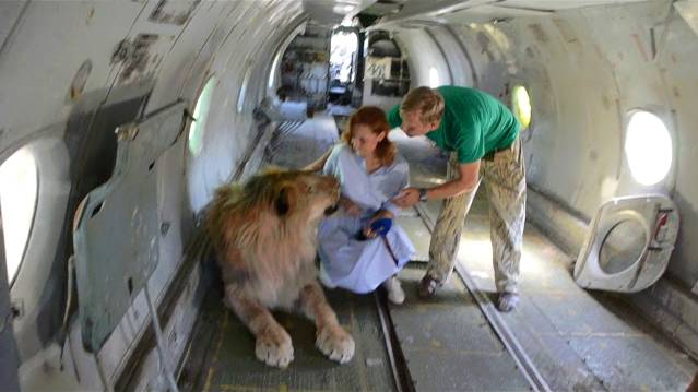 Лев Олежка поцеловал молодого человека ! смотреть онлайн