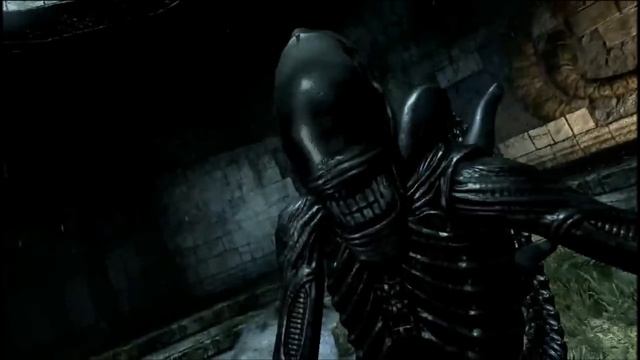 Aliens Vs. Predator 2010 - Xenomorph Sounds