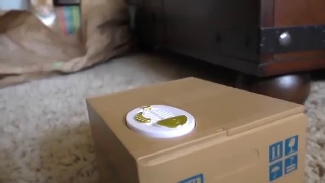 Кот удивлен ??? смотреть онлайн