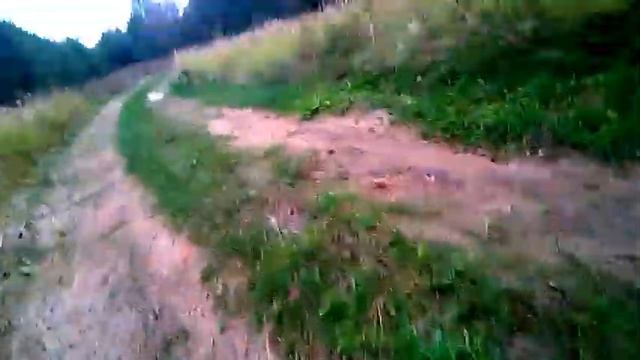 Мини Vlog Поход в лес! #1 Что это было! смотреть онлайн