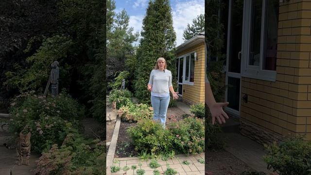 Спирея японская, основные правила обрезки смотреть онлайн