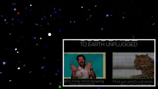 Cougar & Panther_ What.s The Difference_ One Wild Fact _ Earth Unplugged (1) смотреть онлайн
