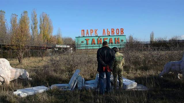 Львы разбили мраморную лавку посреди Саванны ! смотреть онлайн