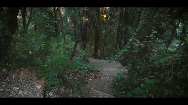 VAQT HAQIDA AFORIZMLAR IBRATLI SO'ZLAR FOYDALI MA'LUMOTLAR