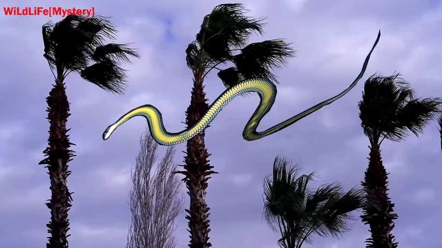 10 Amazing Animals In The World About Whom You May Not Know About 😮😃