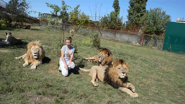 Среди грозных хищников !Дейл ,Алекс и Малыш . смотреть онлайн