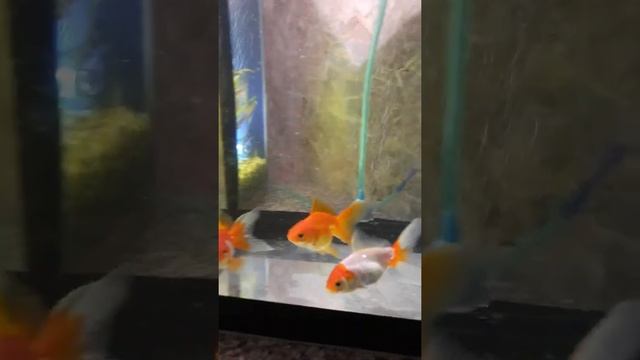 8 января 2022 г. смотреть онлайн