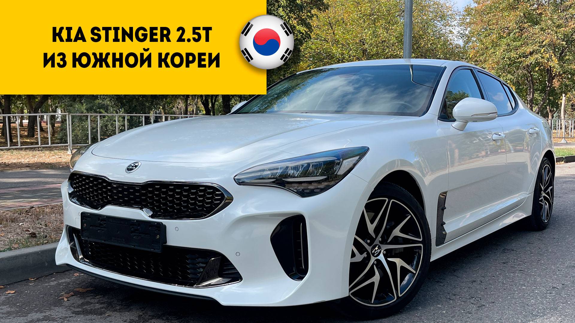 Kia Stinger 2020 года из Южной Кореи прибыл в Россию, г.Пятигорск. смотреть онлайн
