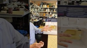 Что общего у швейных машин?