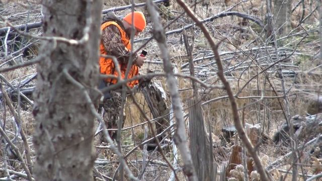 MAINE BUCK HUNT with PECULIAR ENCOUNTER AT END! - Josh Finds Natures Treasure From Deep In The Wood смотреть онлайн