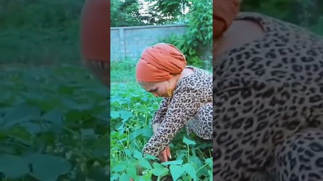 МАНИЖА АРАБШО 2021 смотреть онлайн