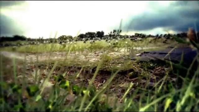 S.T.A.L.K.E.R. - Strelok!!! смотреть онлайн