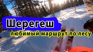 Фрирайд в Шерегеше. По Лесу от ПЕРВОГО ЛИЦА - Фрирайд на горных лыжах в лесу! Сектор А гора Зеленая