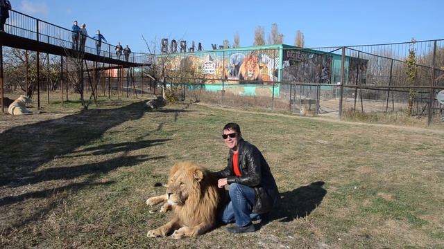 Клава поменяла фото-сессию на еду ! Олег Кочеров среди львов ! смотреть онлайн