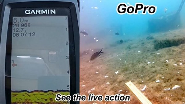 Garmin striker vivid 4cv. tutorial simple steps to get those settings right. #Garmin #FishingTech"