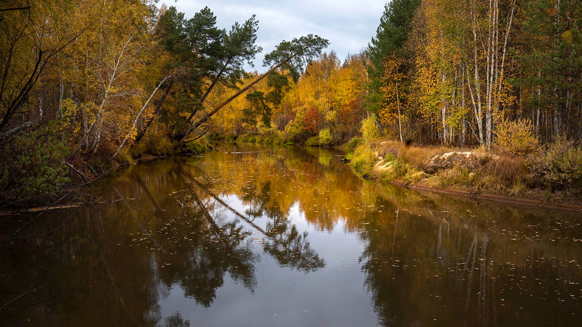 Югорская осень 2024