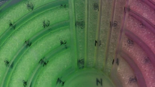 AIR JORDAN 1 HIGH ZOOM "ZEN GREEN" REVIEW смотреть онлайн