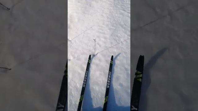 Еду на лыжах по насту смотреть онлайн