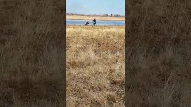 Житель Якутска спас лошадь