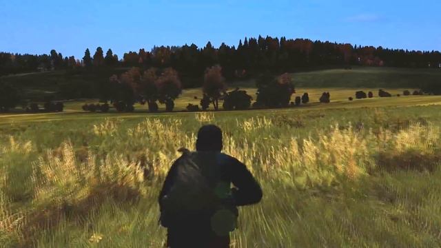 DayZ SA - .61 Lonewolf Clips & Stary Sobor Double kill смотреть онлайн