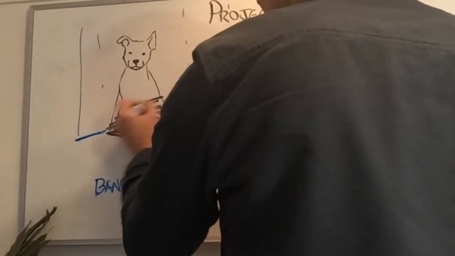 What Is Projection: The Family Projective Activity For Clinicians смотреть онлайн