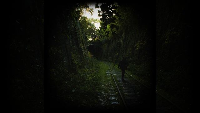 Stalker смотреть онлайн
