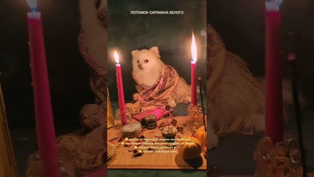 Магия и волшебство в Halloween