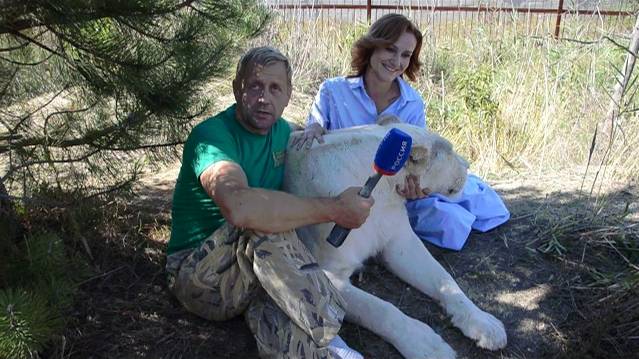 Олег Зубков интервью из Саванны ! смотреть онлайн