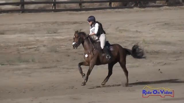 426XC Lisa Sabo On WTF Doria Training 3-Day Cross Country Galway Downs Int'l Nov. 2015