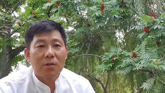 Андрей / Интенсив школы Гивина смотреть онлайн