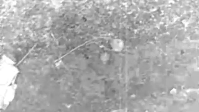 StalkeR смотреть онлайн
