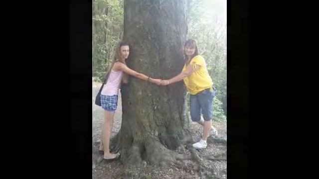 Смысл Жизни.. смотреть онлайн