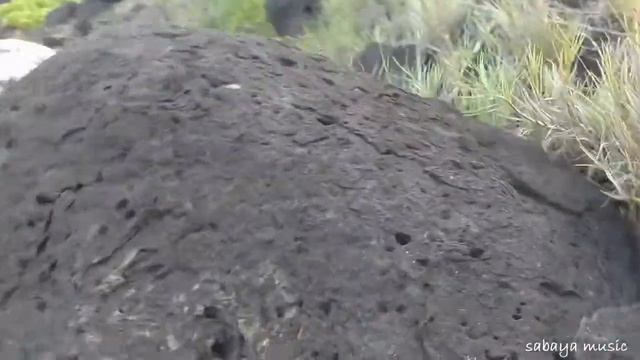 Brown Boot Caterpillar - The Quest смотреть онлайн