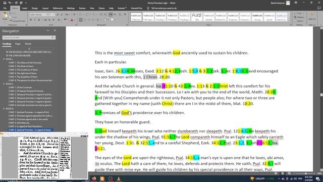 09. Project Puritas Text - Editing v.8 смотреть онлайн