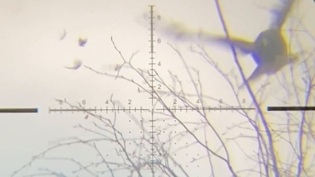 Ворона  здесь отстрел Кроухантинг. Crow Hunting 2024.#2