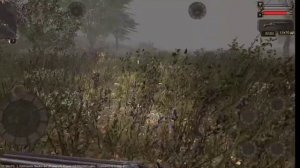 полное прохождение project stalker