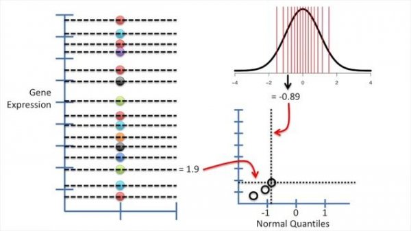 Quantile-Quantile Plots (QQ plots), Clearly Explained!!!