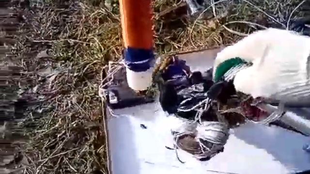 БТГ Васмуса