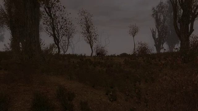 S.T.A.L.K.E.R. atmosphere. Темная долина. смотреть онлайн