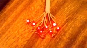 Сдвиговый регистр 74hc164