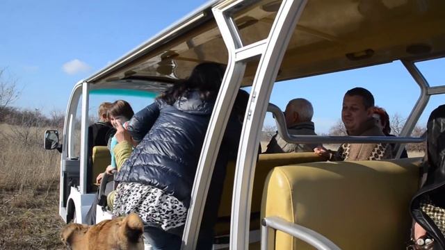 Лола заобнимает всех .кого не дообнимал лев Филя ! смотреть онлайн