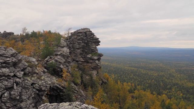 Наедине с природой. Заповедник Басеги. Greenpeace.
