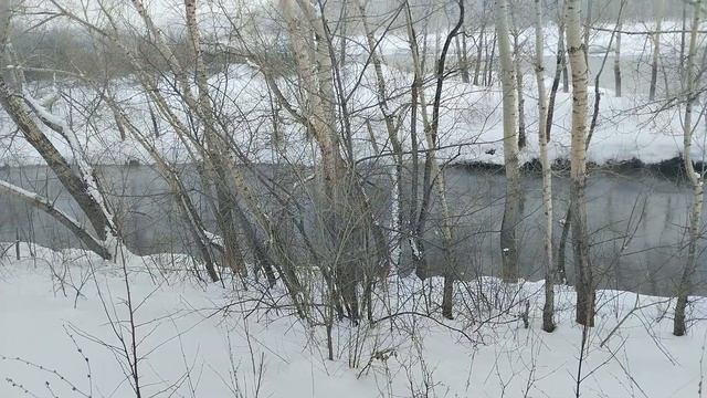 Бродилки с поплавочной удочкой по реке в начале марта. Поиски белой рыбы в красивой лесной речке. смотреть онлайн