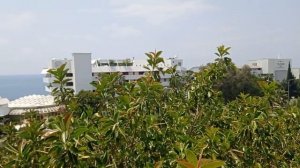 Обзор номера в отеле  Rubi Hotel в Турции, авсаллар. 2022.