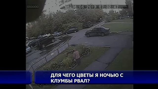 Где смотреть онлайн
