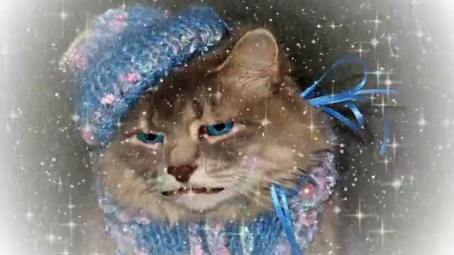 Поющая киска {Ася}/Singing Cat {Asya} -  ( Rihanna - Unfaithful )