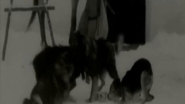 Tarkovsky - Andrei Rublev - dog scenes