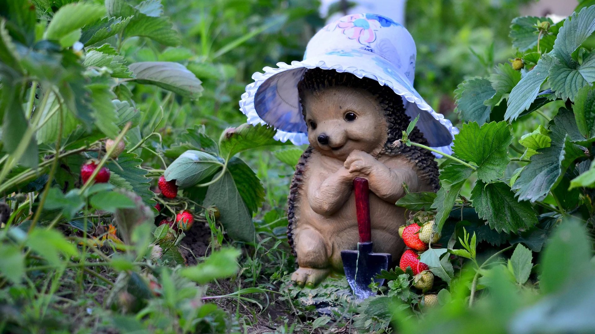 Мои 7 соток в Ленинградской обл. Дачное видео. смотреть онлайн