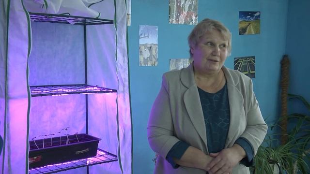 Где родился, там и пригодился смотреть онлайн